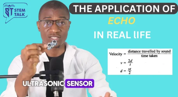 The application of echo in real life